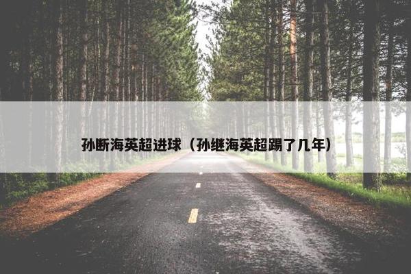 孙断海英超进球（孙继海英超踢了几年）