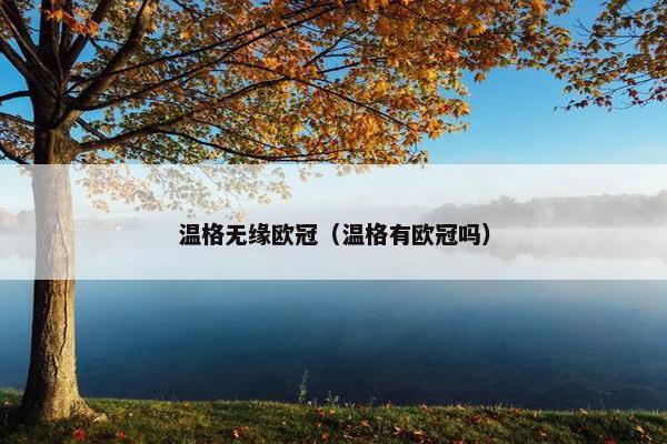 温格无缘欧冠（温格有欧冠吗）