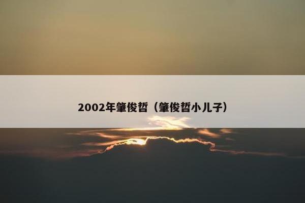 2002年肇俊哲（肇俊哲小儿子）