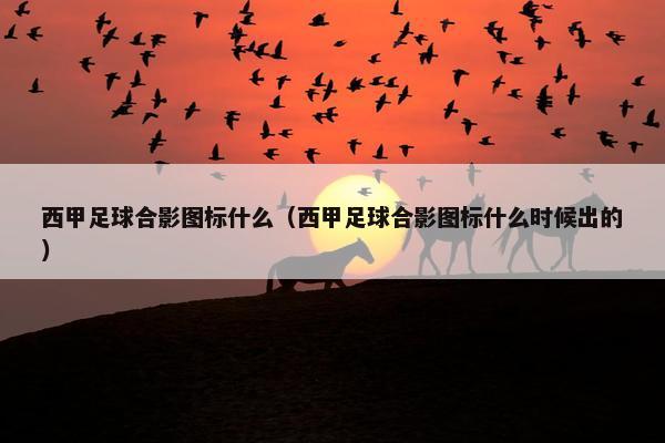 西甲足球合影图标什么（西甲足球合影图标什么时候出的）