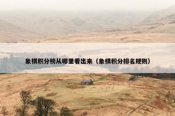 象棋积分榜从哪里看出来（象棋积分排名规则）