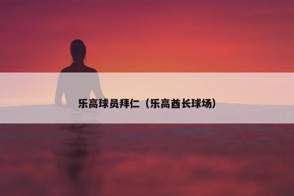 乐高球员拜仁（乐高酋长球场）