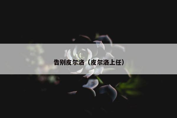 告别皮尔洛（皮尔洛上任）