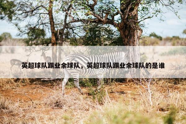 英超球队踢业余球队，英超球队踢业余球队的是谁