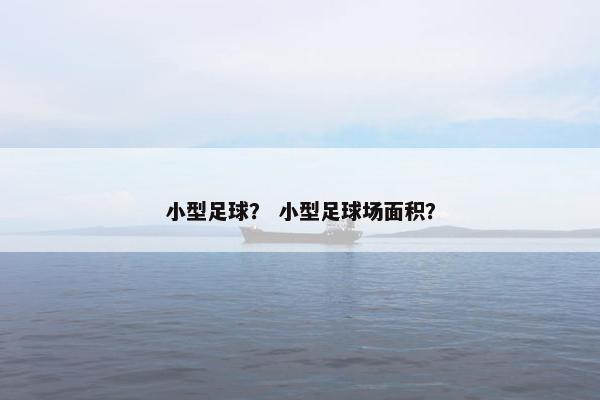 小型足球？ 小型足球场面积？
