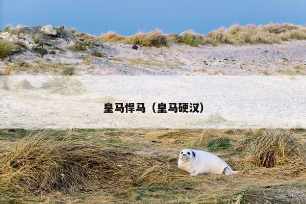 皇马悍马（皇马硬汉）