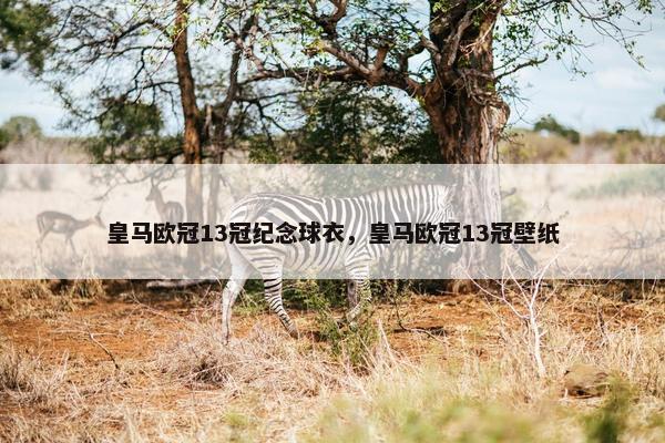 皇马欧冠13冠纪念球衣，皇马欧冠13冠壁纸