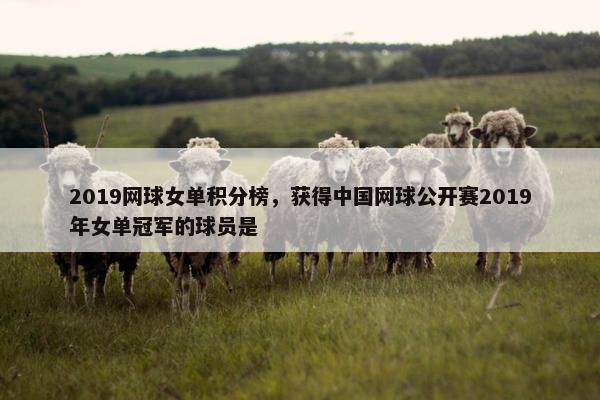 2019网球女单积分榜，获得中国网球公开赛2019年女单冠军的球员是