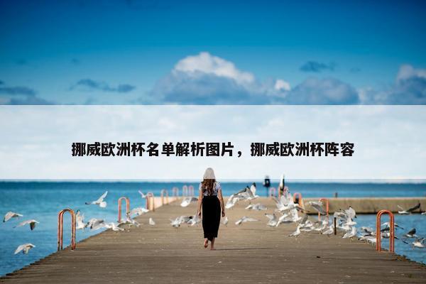 挪威欧洲杯名单解析图片，挪威欧洲杯阵容