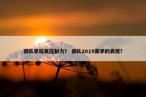 狼队季后赛压制力？ 狼队2019赛季的表现？
